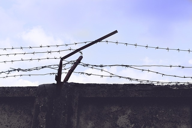 fence barbed wire