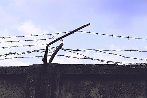 fence barbed wire